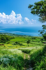 A beautiful summer day with blue sky and white clouds, overlooking the vast sea from high above. 