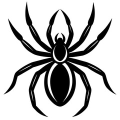 Wall Mural - spider on white background
