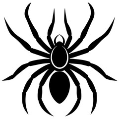 Wall Mural - spider on white background
