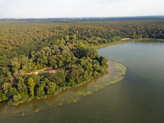 Wall Mural - Aerial landscape of river and Grunewald forest on a sunny summer day in Berlin