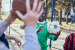 © Davor - Group of senior men enjoying a conversation and sports in a park