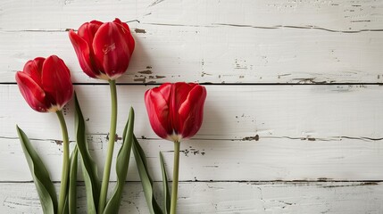 A charming flat lay view from above showcases three vibrant red tulips set against a pristine white wooden backdrop perfect for adding a heartfelt message this Valentine s Day or Mother s D