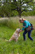 © Birgit Reitz-Hofmann - Golden retriever dog gives her paw