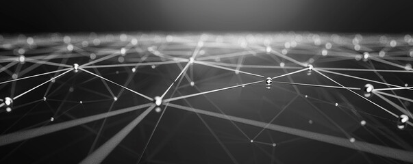 Wall Mural - Black and gray gradient background with a stark network of white plexus lines, reflecting modern digital infrastructure.