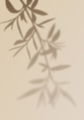 Aufkleber - Palm Leaf Png Shadow. Vector Olive Tree Branch Background. Shadow Overlay and Light Effect. Mockup of Abstract Transparent Summer Branch Silhouette.