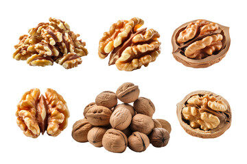 A variety set of walnuts isolated on transparent background