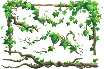 Wall Mural - Jungle liana vine - long branches and circle and square frame with green creeping plant and leaves. Cartoon vector illustration set of game ui design borders made of tropical climbing plant. vector ic