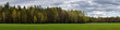 mixed forest behind a green grass field under a cloudy sky. widescreen panoramic photo 20x5 format. scenic woodland landscape. side view