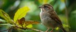 An advanced birdwatching app identifies species by their calls and appearance, enhancing the naturalists outdoor experience, hitech cyber look sharpen close up with copy space