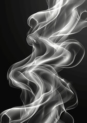 Wall Mural - Abstract Wave Vector Background in Black and Grey with Elegant Gradient Curves for Modern Design