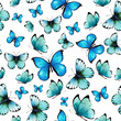 Blue Butterfly, seamless pattern, watercolor, decoration, illustration, digital paper, wallpaper, gift paper, background 