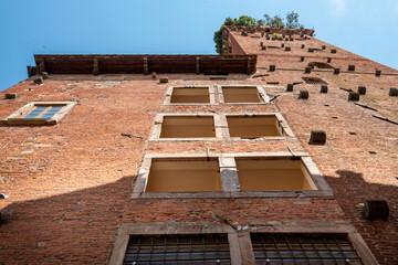 Sticker - Guinigi Tower - Lucca - Italy