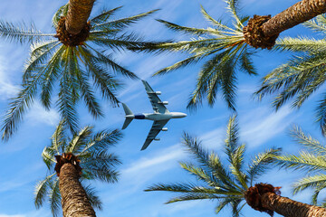 Jet airliner flying above California palm trees