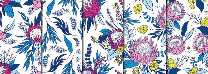 Poster - 5 Seamless patterns set with pink protea flowers on white background. Tropical floral wallpapers bundle.