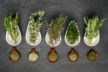 Five different fresh organic herbs in porcelain bowls and dried herbs in wooden bowls stand on a black slate plate