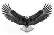 Eagle in flight, 3D render, pure white background, wings fully extended, detailed feathers, dynamic lighting from above