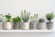 A series of minimalist ceramic plant pots with geometric patterns, arranged in a row on a white shelf, showcasing their modern aesthetic. 