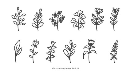 Wall Mural - Line drawing minimalist flowers ,hand drawn elements , flat Modern design isolated on white background ,Vector illustration EPS 10