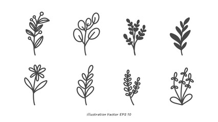 Wall Mural - Line drawing minimalist flowers ,hand drawn elements , flat Modern design isolated on white background ,Vector illustration EPS 10