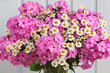floral background, pink phlox and small garden daisies close-up.