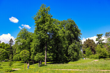 Monrepos Park, recreation in the park, promenade by the lake, natural landscape, tourist recreation in the reserve.