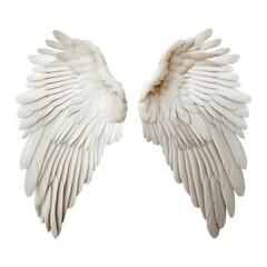 Wall Mural - angel wings isolated on transparent background cutout