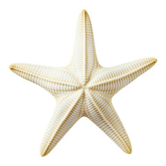 Wall Mural - white starfish isolated on transparent background cutout