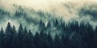 © RocknRoller Studios - Misty Forest Aerial Photograph with Pine Trees. Foggy, Atmospheric Nature Background.