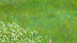 白いカスミ草が映える、緑の手描きグラフィック