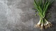 Bunch of fresh green onions on a grey background clean and simple presentation
