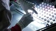 © Thanthara - Technician wearing gloves sorting through a batch of newly made capsules, detailed hand movements, bright light.