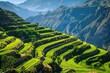 Agricultural Terraced Fields in Canyon, Peru: Beautiful and Deep Landscapes