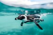 a black and white penguin is swimming in the ocean