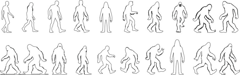 Wall Mural - Bigfoot line art evolution mystery creature outline. Ape like humanoid, mythical folklore legend, elusive cryptid enigma
