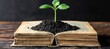© Ilja - Book with plant depicting growth and learning as metaphor for education development