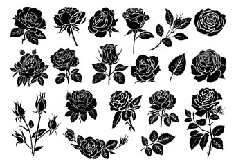 Wall Mural - Set of black silhouettes of decorative fresh blossoming rose with steam and leaves. Hand drawn outline flower icon. Vector monochrome illustrations isolated on transparent background.