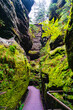 Magical enchanted fairytale forest with fern, moss, lichen, gorge and sandstone rocks at the hiking trail Malerweg in the national park Saxon Switzerland, Saxony, Germany
