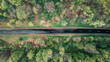 Road and forest from above, drone, aerial view, birds eye view