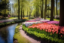 Keukenhof Gardens, Netherlands: A World-renowned Garden Featuring A Stunning Variety Of Flowers, Including Tulips, Daffodils, And Hyacinths.