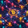 Bitcoin Connectivity Network