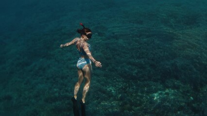 Poster - Woman swims underwater in the tropical sea and hangs in the depth