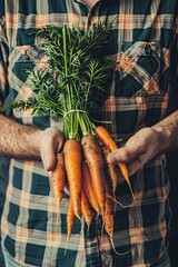 Wall Mural - carrot in the hands of a man. selective focus
