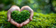 Hands holding small green plant shape heart green leaves isolated beautiful green background