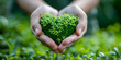 Beautiful green heart with hand holding forest grass background