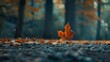 A solitary leaf drifts lazily to the ground, its journey marked by the soft rustle of leaves and the gentle caress of the wind, a fleeting moment captured in time.