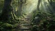Photo of a cozy stone forest path in a sunny forest