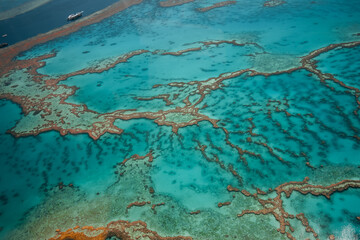 Wall Mural - aerial view of great barrier reef coral reef structure in whitsundays, aerilie beach, queensland, au