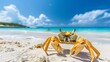   A tight shot of a crab on the sandy beach, surrounded by a vast blue ocean and a clear blue sky dotted with fluffy white clouds