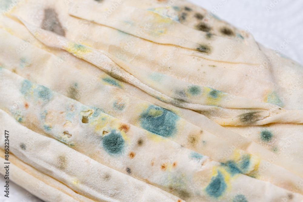 Bread molds. Rhizopus stolonifer is commonly known as black bread mold ...