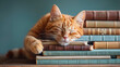 A charming cat peacefully slumbering atop a stack of books, exuding coziness and tranquility.